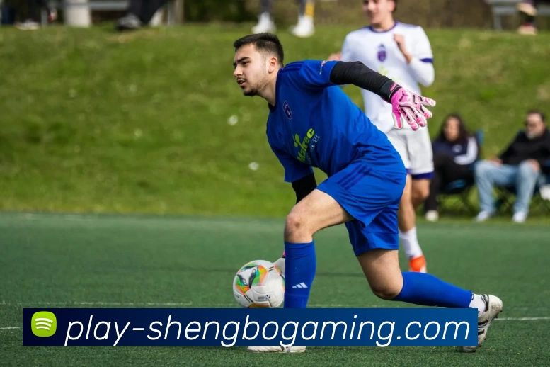 升博电竞APPAPP 封面图